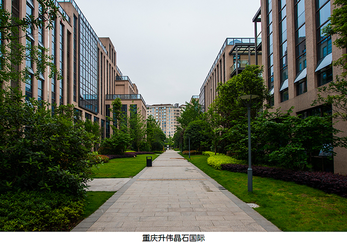 重庆升伟晶石国际